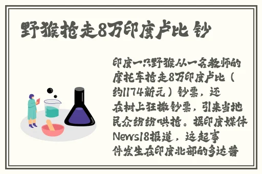 欧美激情第一欧美精品完整版
